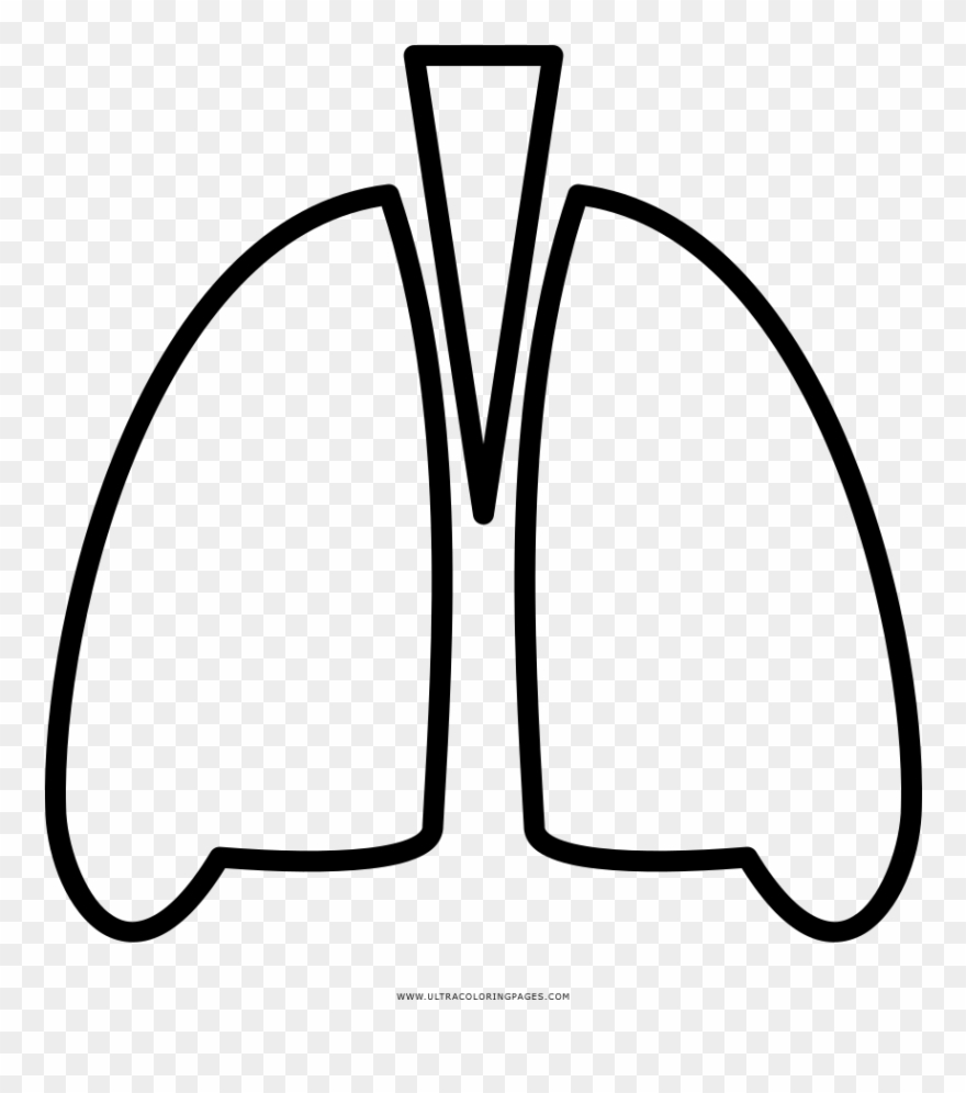 Lungs Coloring Page - Line Art Clipart