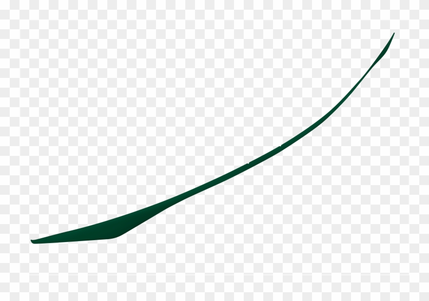 Schoodic Hull Forest Clipart