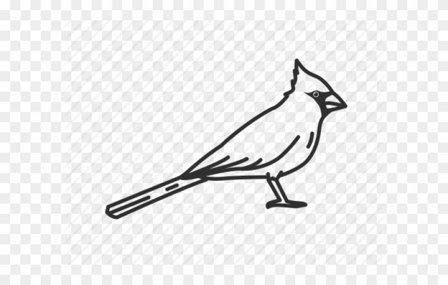 Songbird Clipart North Carolina - Illustration - Png Download
