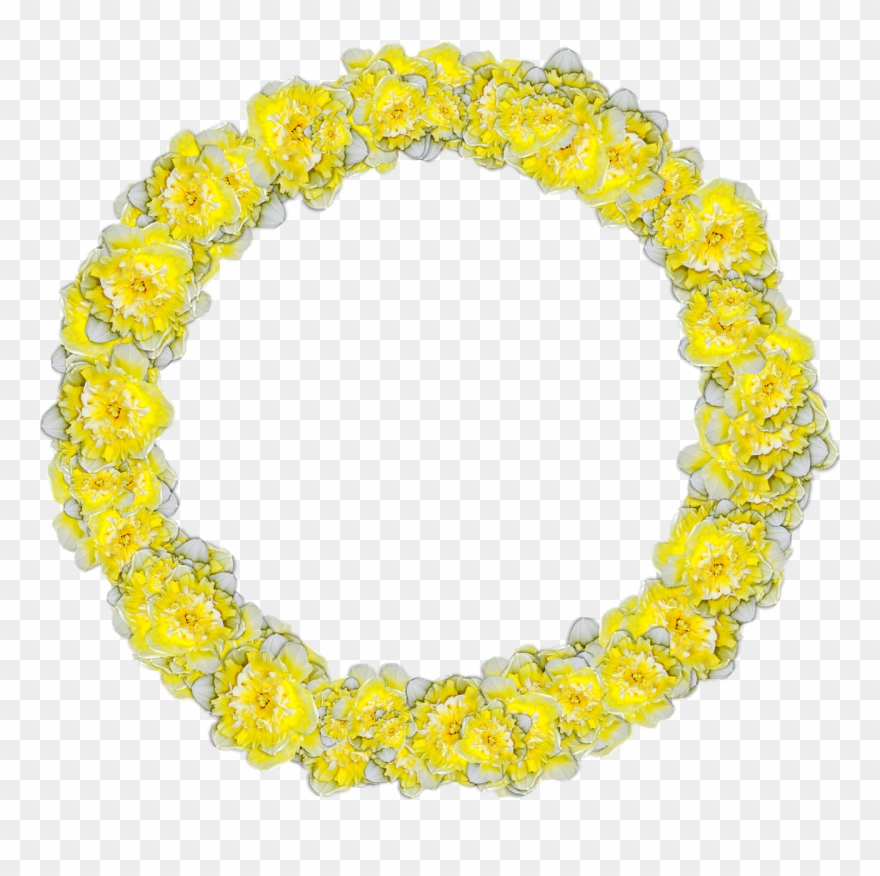Daffodils Circle Narcissus - Bracelet Clipart
