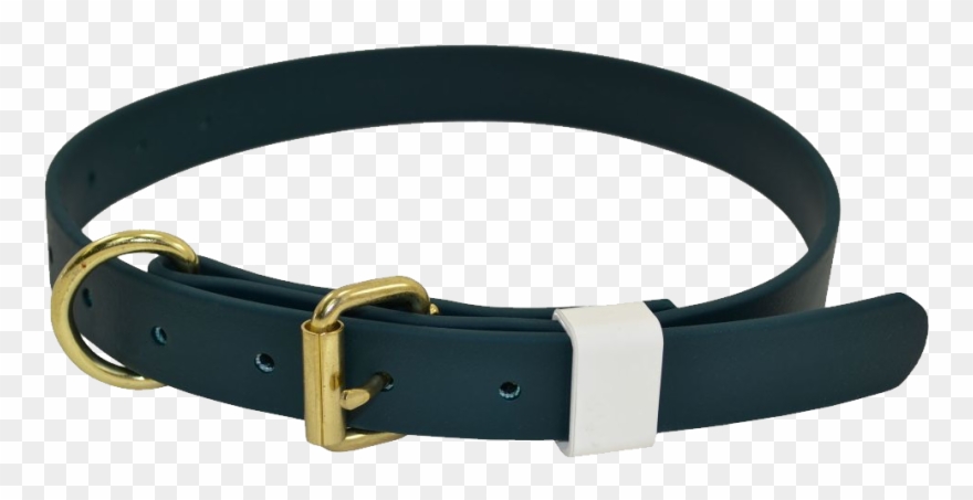 Dog Collar Png - Belt Clipart