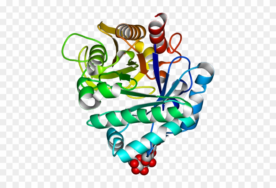 Database Information - Illustration Clipart