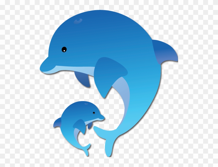 Dolphin Png Kids Clipart