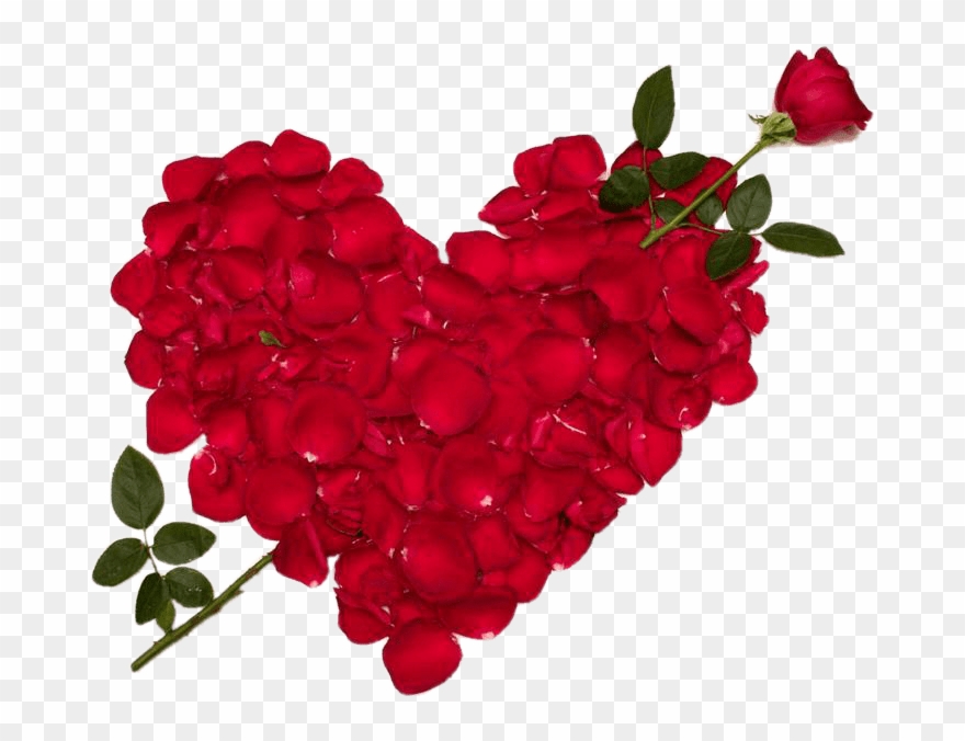 Valentines Day Roses Make Heart Transparent Png Images - Love Flower Clipart