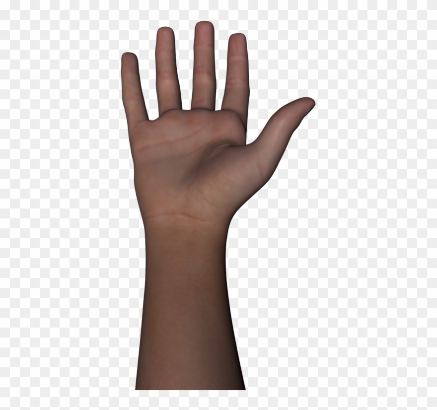 Free Png Of Body Parts Transparent Of Body Parts - 3d Hand Transparent Png Clipart