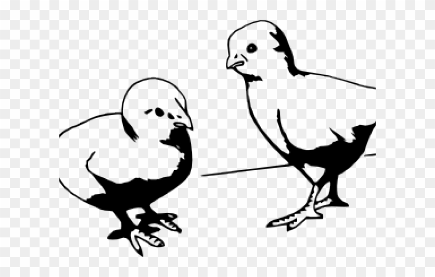 Chick Clipart Draw Baby - Portable Network Graphics - Png Download