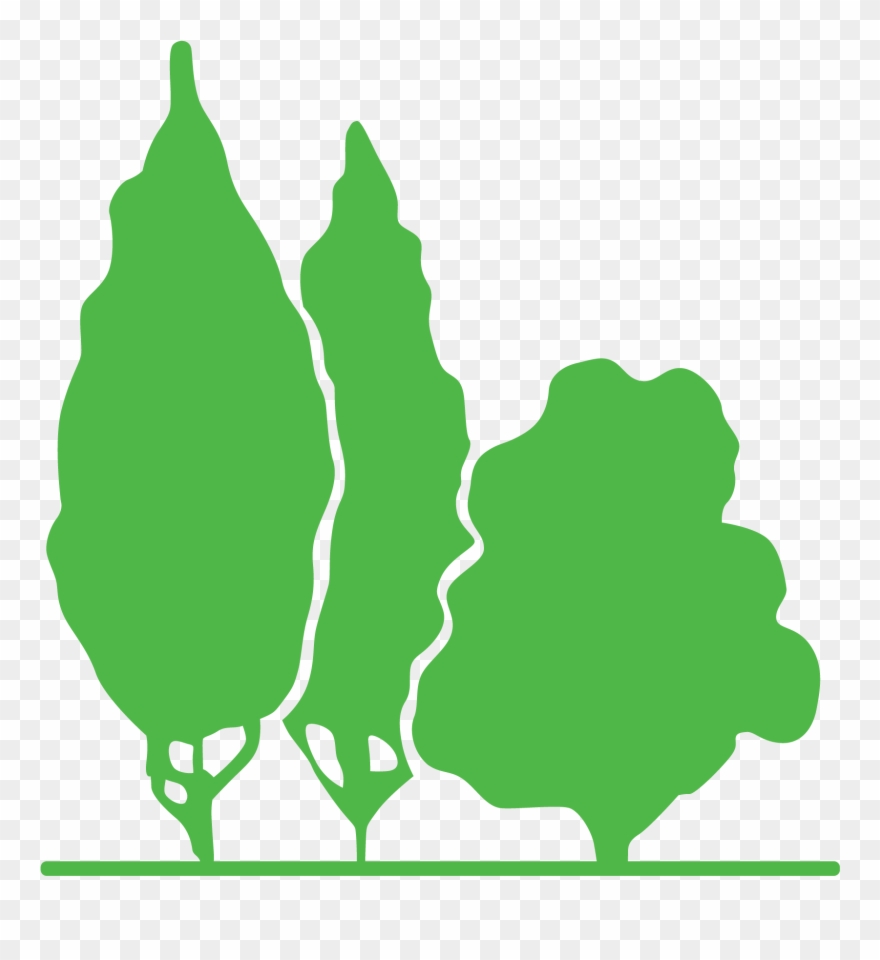 Park Glass - Illustration Clipart