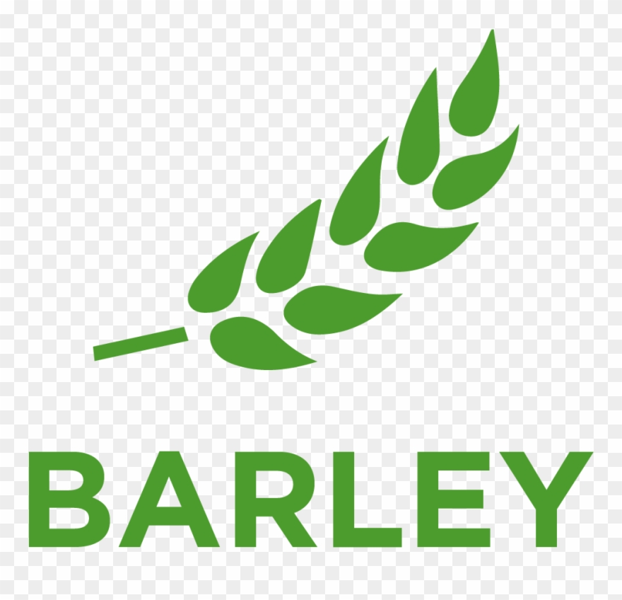 Barley , A Member Of The Poaceae Or Gramineae, Is A - Origami Baby Jesus Clipart