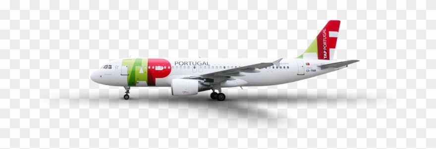 Frota Da Tap Clipart