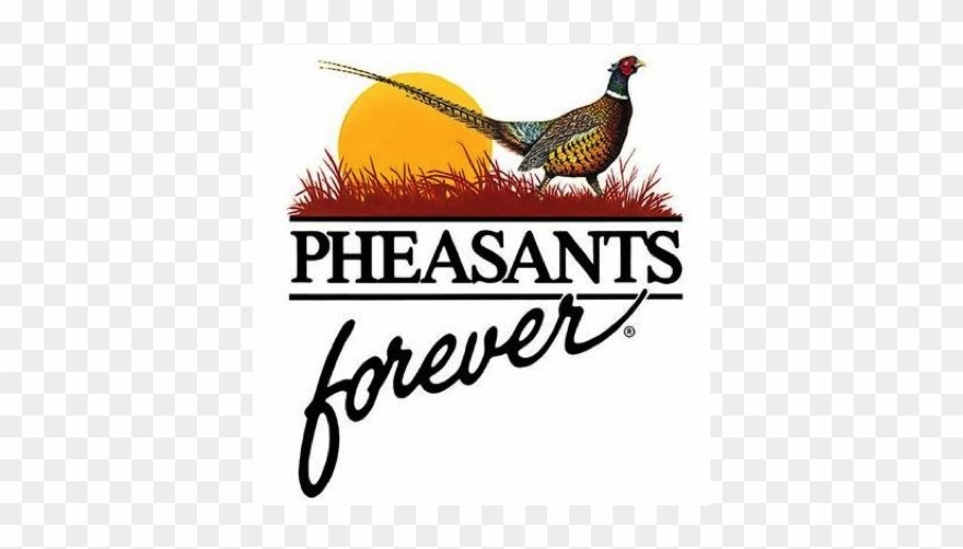 Pheasants Forever Clipart