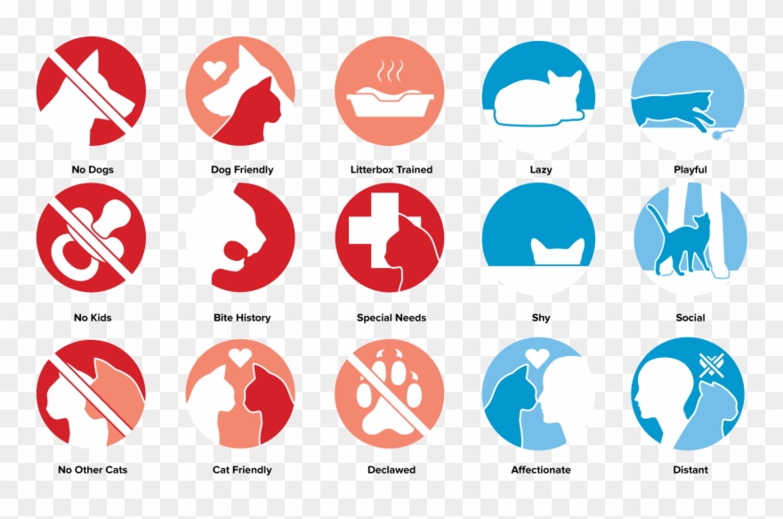 Pet Icon & Adoption System - Adopting A Pet Icon Clipart