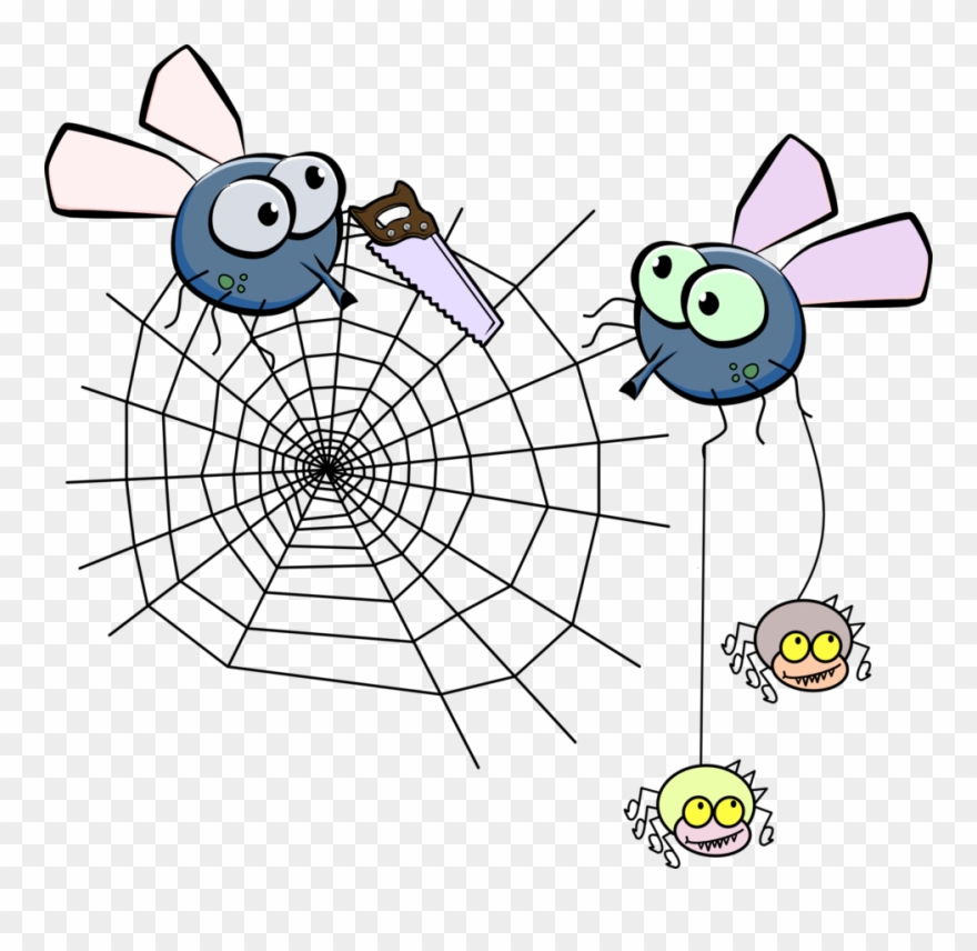 Fly After Drinking - Spider Web Clip Art - Png Download