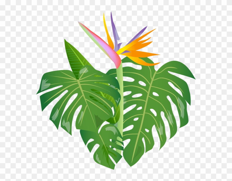 Shrub Clipart Jungle - Clip Art - Png Download