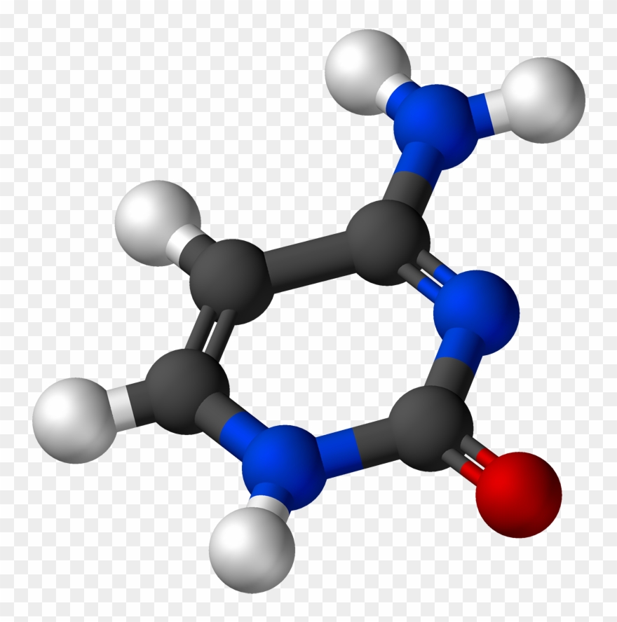 Cytosine 3d Balls - Molecular Model Of Benzene Clipart
