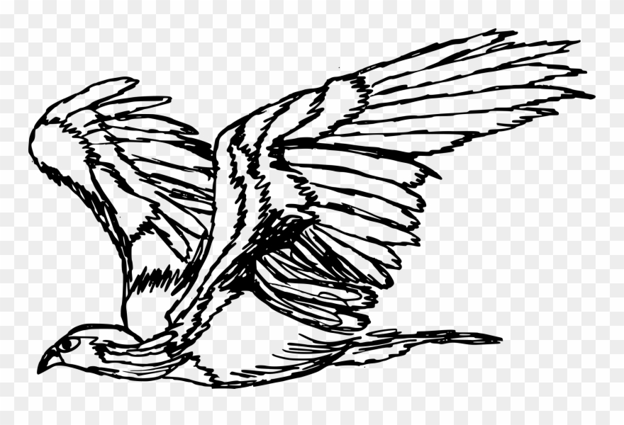 Free Download - Illustration Clipart