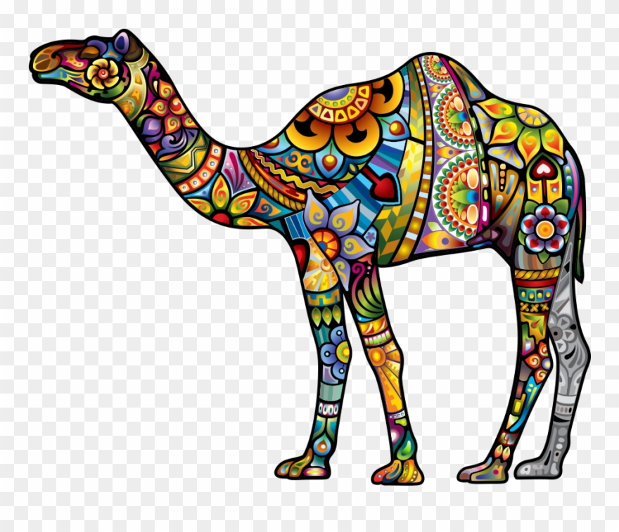 Camel Png Image & Camel Png Clipart Free Download - Colorful Camel Clipart Transparent Png