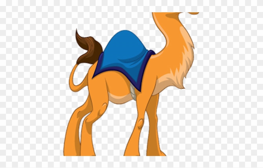 Drawn Camels Realistic - Transparent Background Camel Clip Art - Png Download
