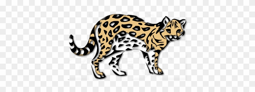 Ocelot - Clouded Leopard Clipart