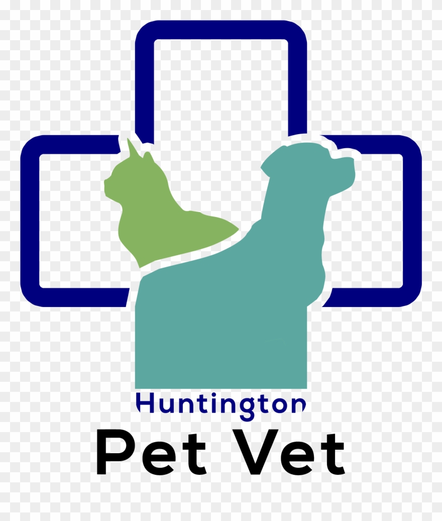 Clip Royalty Free Download Huntington Beach Pet Vet - Huntington Pet Vet - Png Download