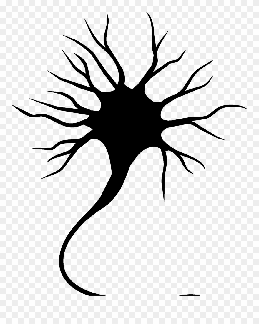 Explain How An Activity Engages The Brain - Motor Neuron Transparent Background Clipart