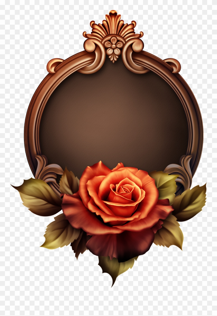 Rosy Flame - Garden Roses Clipart