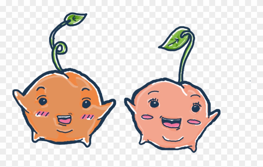These Are My Illustrations And Concepts For The Fruit Clipart