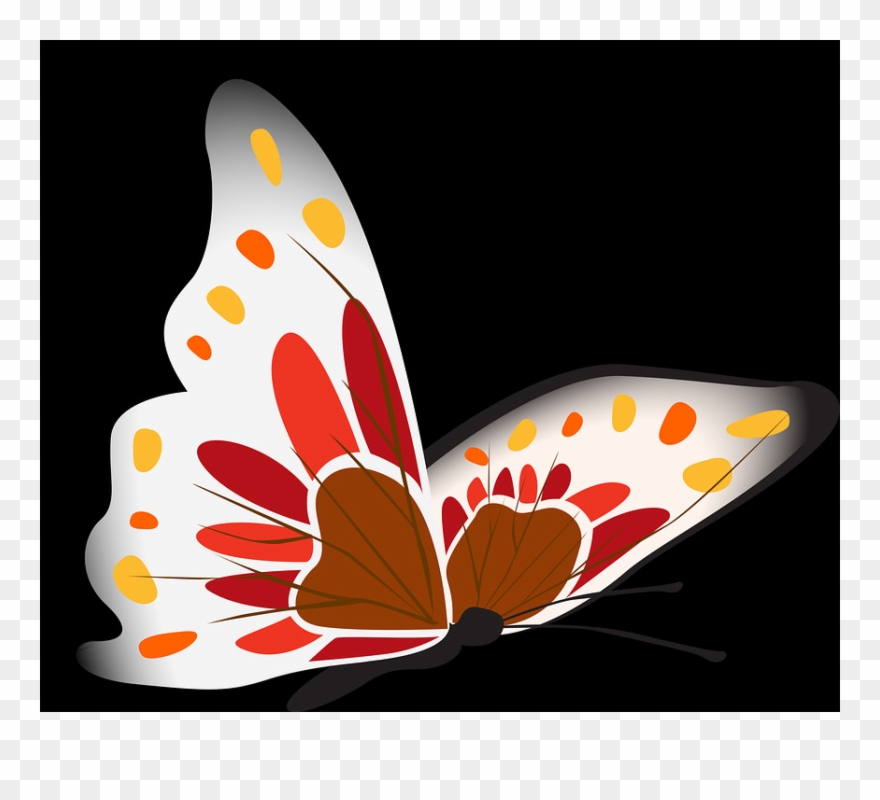 2 - Butterfly Clipart