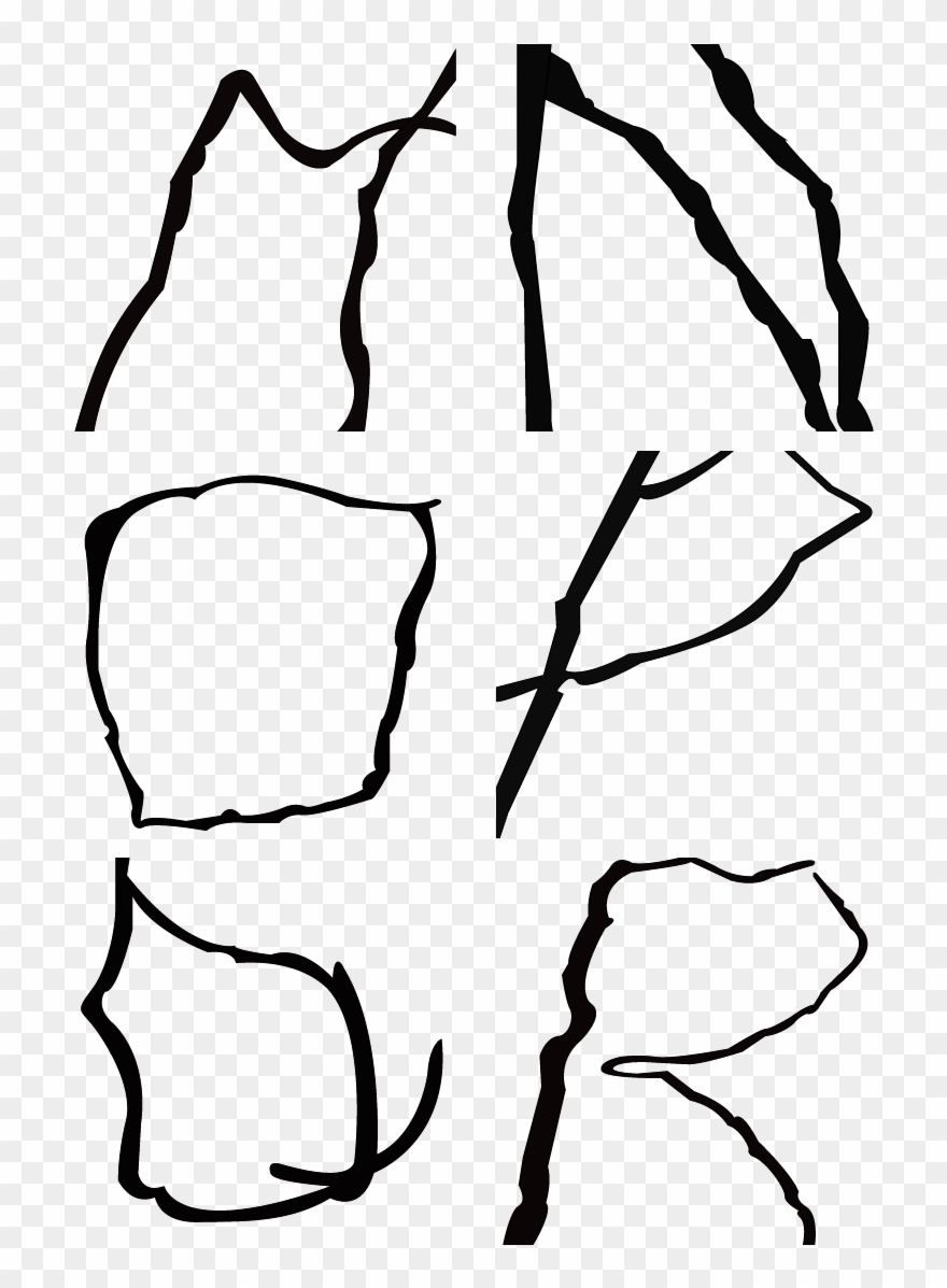 I Took Pictures Of Branches Growing Up The Side Of - Sketch Clipart