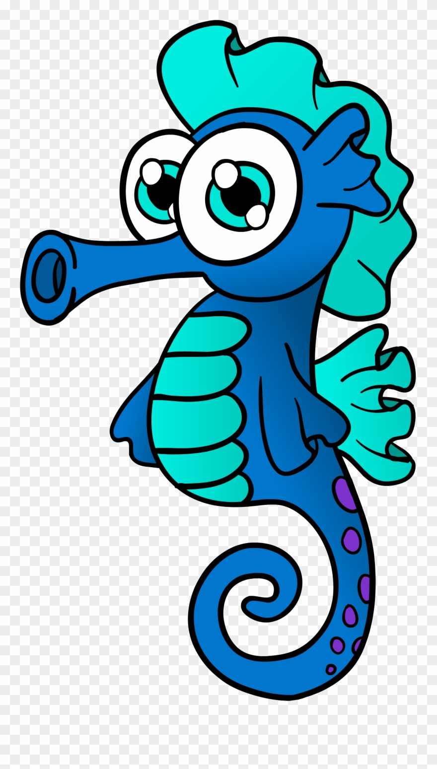 Sea Horse Www Clipart