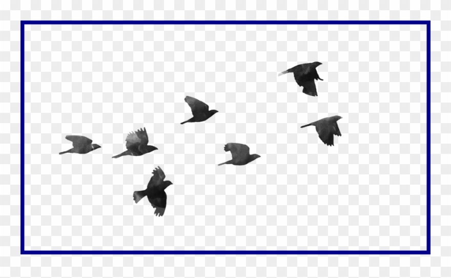 908 X 518 12 0 - Twenty One Pilots Birds Clipart