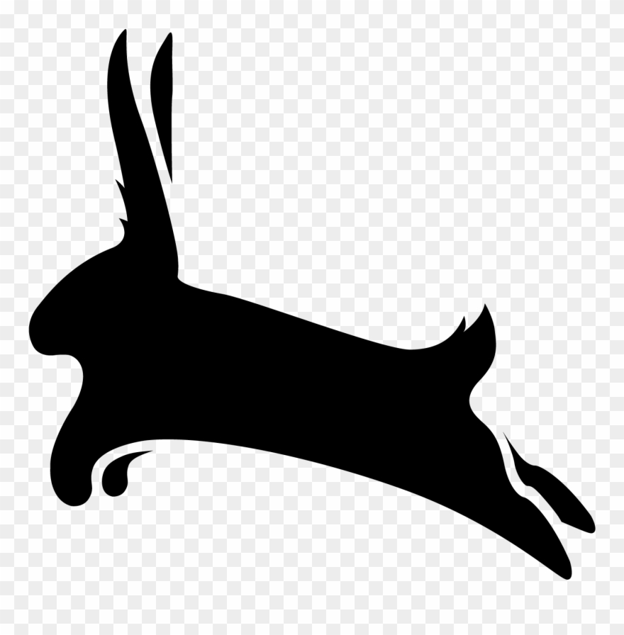 𝙿𝚑𝚘𝚝𝚘𝚐𝚛𝚊𝚙𝚑𝚢 𝙿𝚘𝚛𝚝𝚏𝚘𝚕𝚒𝚘 - Dog Catches Something Clipart