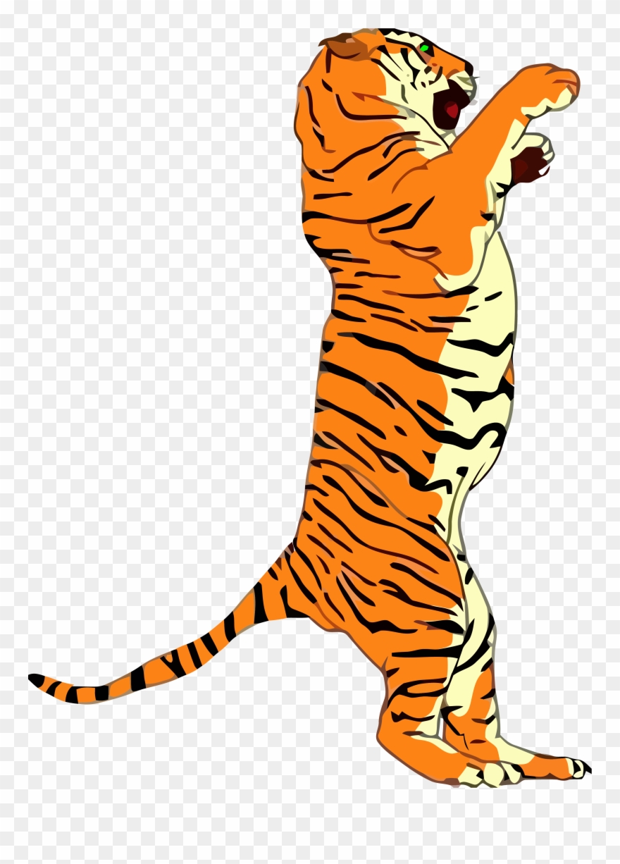 Standing Tigger Clipart Png Image Download - Tiger Standing Up Drawing Transparent Png