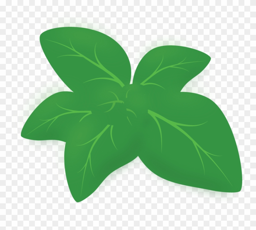 Hoja De Oregano Png , Png Download Clipart