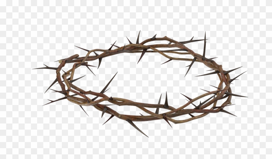 Crown Of Thorns Clipart