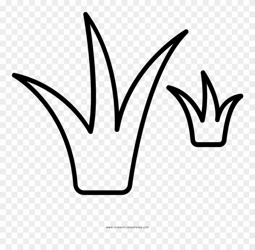 Grass Coloring Page Clipart