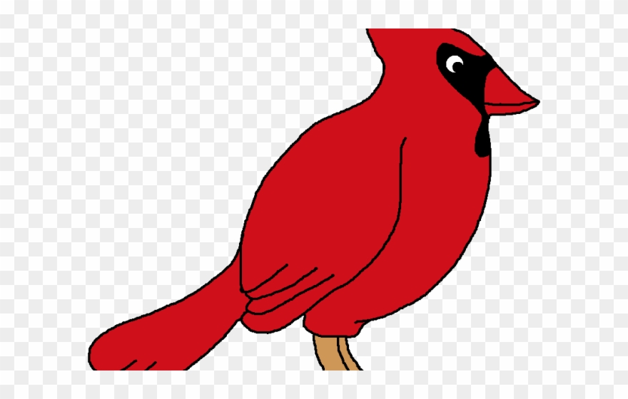 Cardinal Clipart Cute - Bird - Png Download