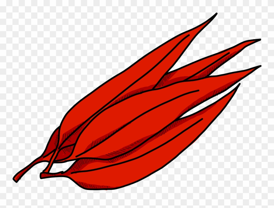 Spicy - Illustration Clipart