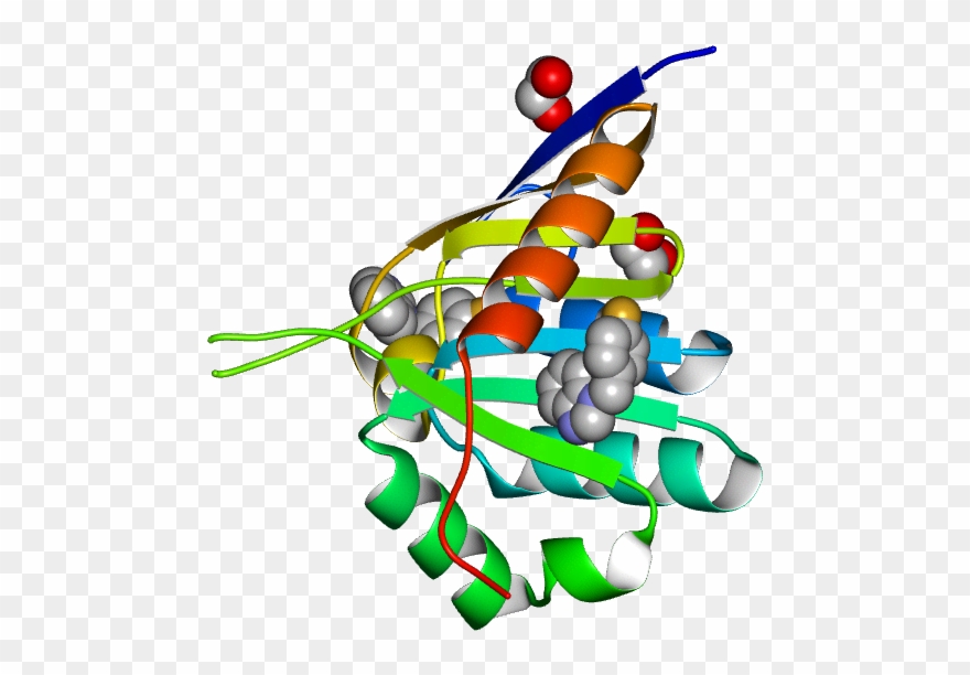 Molmil Generated Image Of 5qhq - Illustration Clipart