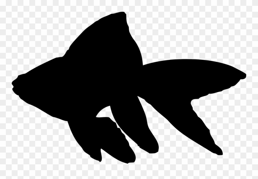 Download Png - Goldfish Silhouette Clipart