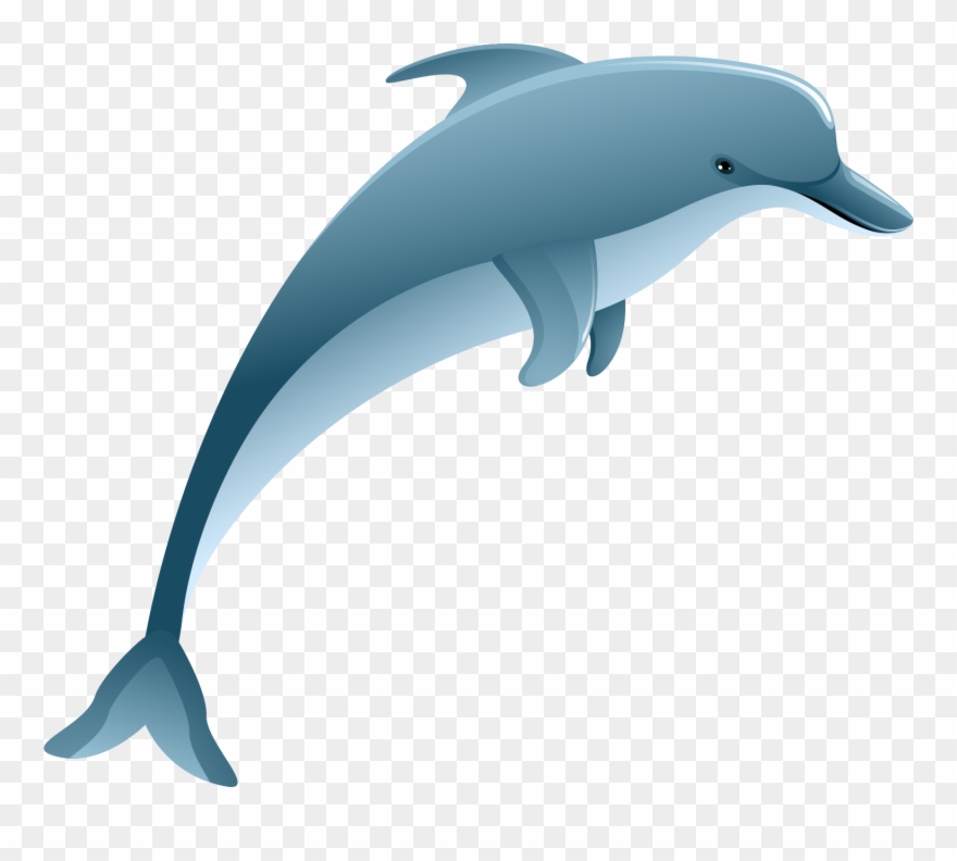 The Largest Free Transparent Png Images Clipart Catalog - Common Bottlenose Dolphin