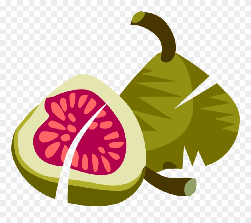 Vector Illustration Of Sliced Common Fig Fruit With - Fig Clip Art - Png Download