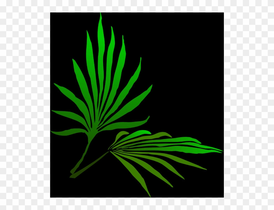 Jewish Holiday Pngs - Illustration Clipart