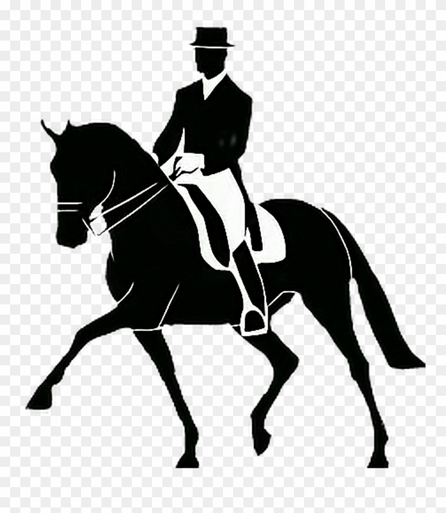 Dressage Vector Dressagevector Black Blackvector Blackd - Dressurreiten Clipart - Png Download