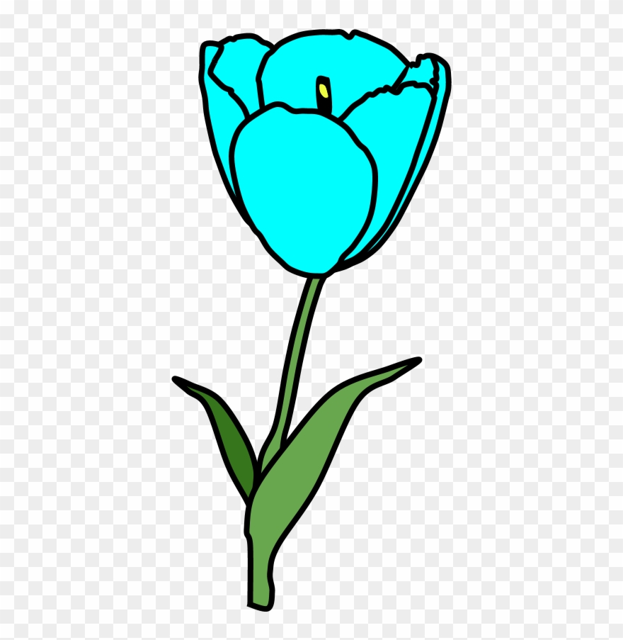 Tulip, Petals, Stamen, Bright Blue - Tulip Clipart