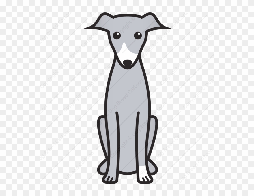Italian Greyhound Vs Whippet - Cartoon Italian Greyhound Clipart