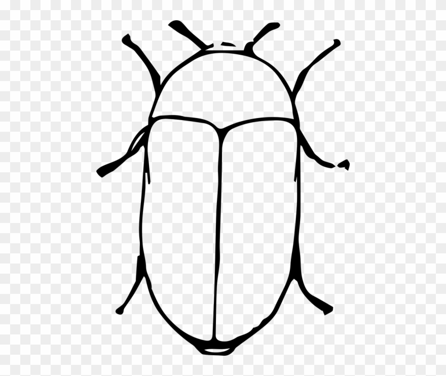 Vector Graphics - Beetle Line Art Clipart