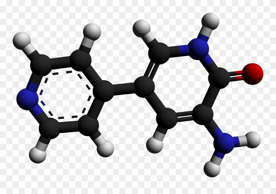 Oxalate Ion In Guava Clipart