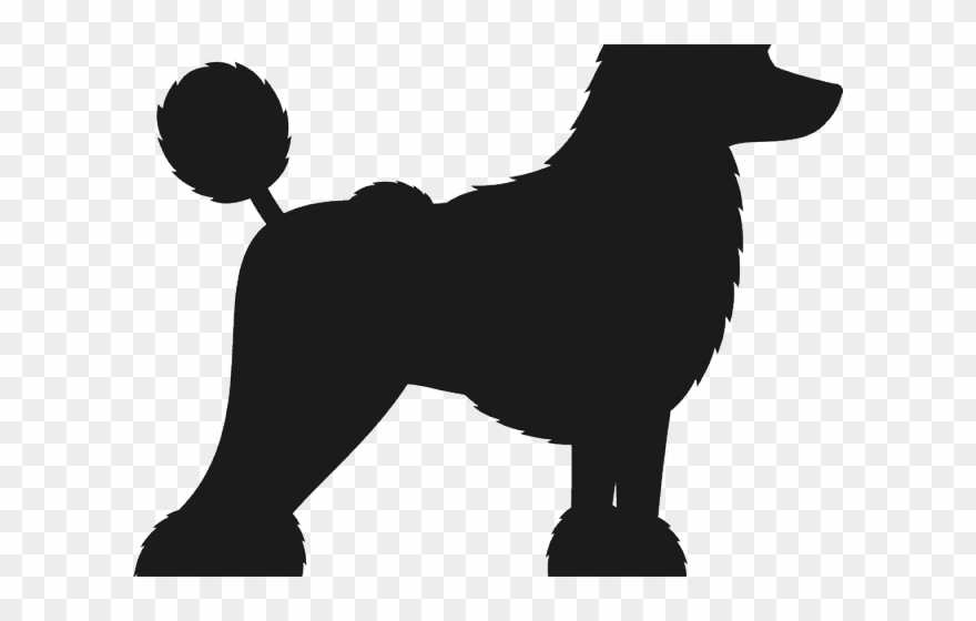 Poodle Clipart Baby - Black Toy Poodle Transparent - Png Download