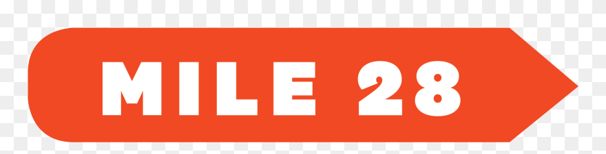 Founded By A Race Car Driver, Often Necessitates Designated - Graphics Clipart