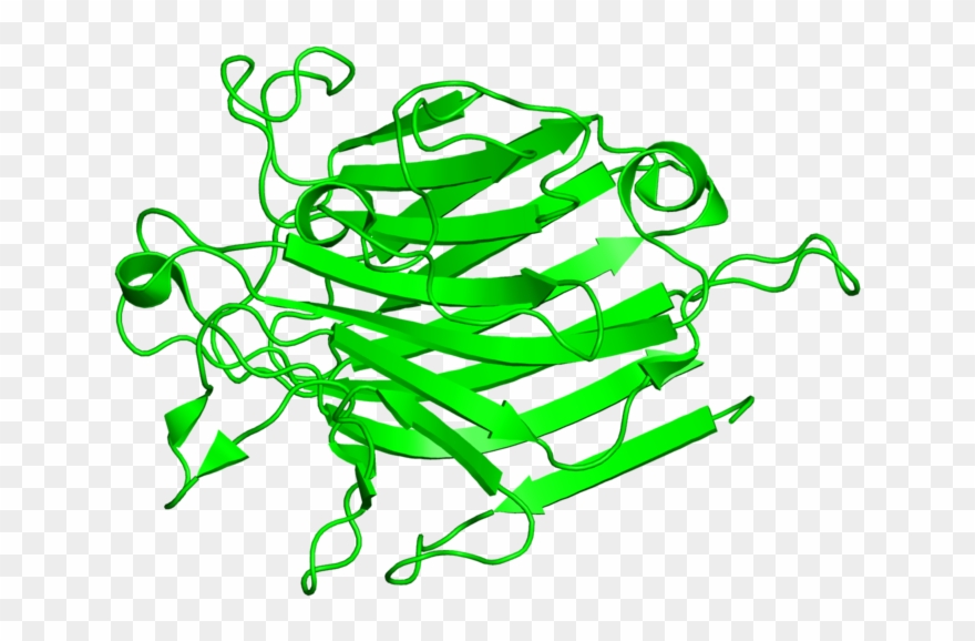 <div Class='caption-body'>1 Copy Of Scop Domain < - Illustration Clipart